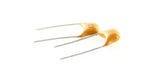 Monolithic Capacitor (2 PACK)